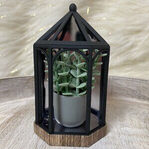 BATH & BODY WORKS WALLFLOWER PLUG SUCCULENT PLANT BLACK DIFFUSER (NEW)